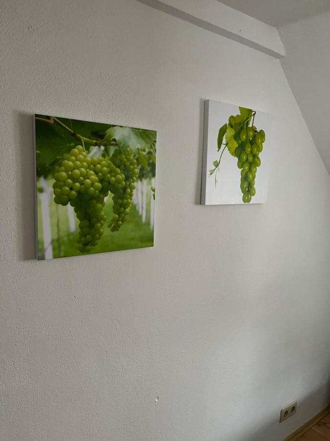 Haus Mika Villa Cochem Luaran gambar